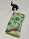 Organza saree hand-painted